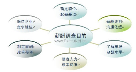 职业经理人_职业经理人的收入(2)