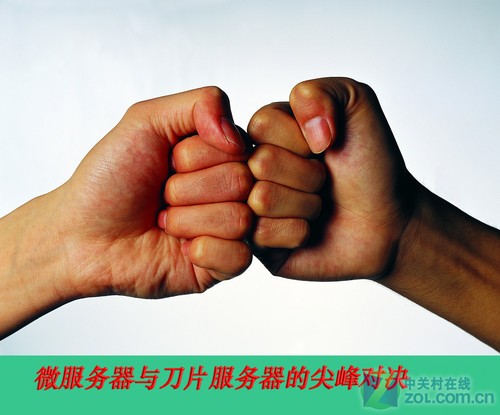 是机遇是挑战?论微服务器的前世今生