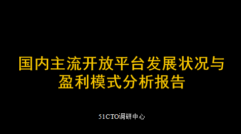 个人收入证明_个人收入和发展平台(3)