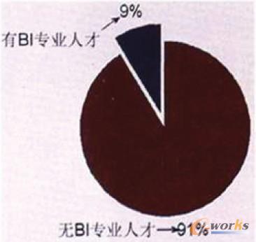 图4 BI专业人才应用情况
