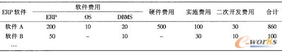 表3 ERP软件的成本分析示例
