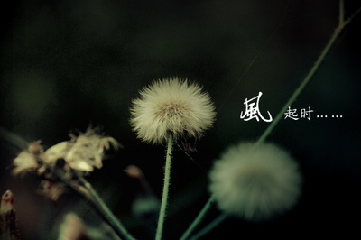供应链整合在即 智能硬件产业&ldquo;等风来&rdquo;