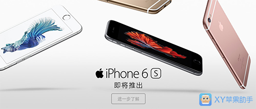 XY苹果助手：iPhone6s价格大起底 哪版本便宜