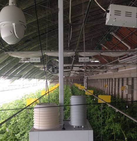 从Tlink看企业接入物联网的紧迫性