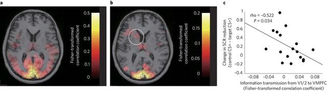 国外研究人员找到恐惧症新疗法 人工智能技术建功