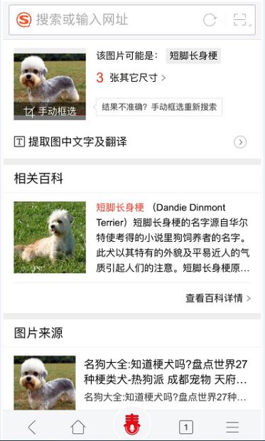 拯救狗盲症,搜狗图片搜索一步精准识狗 - IT业界