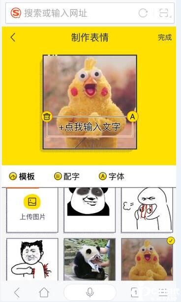 5.jpg