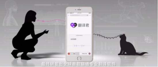 猫语翻译爆红网络背后 腾讯翻译君2.0版本新