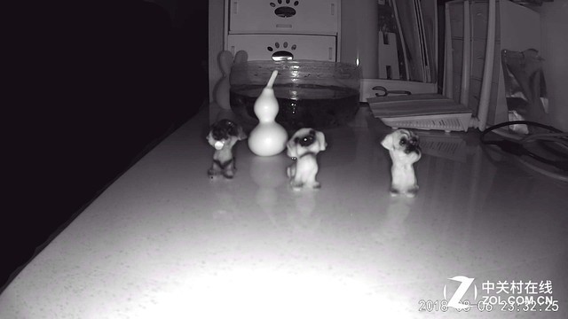 家庭看护小能手 8款智能摄像机横评