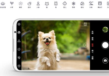 1534822634218373.jpg 11.jpg