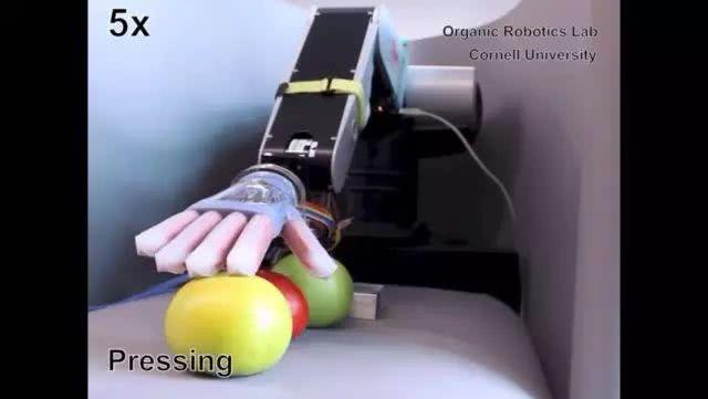 新型电子手套：让机器人拥有触觉！