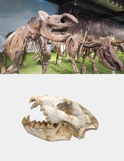 图片9.png