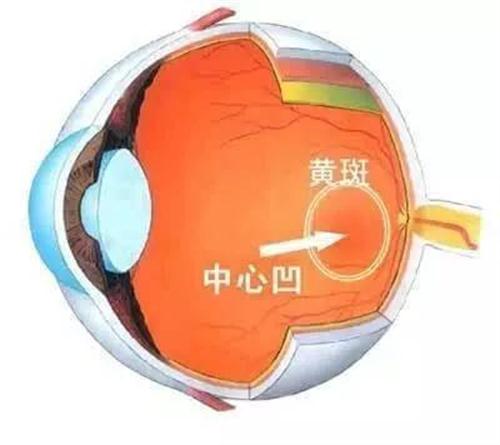6ece6a5c4f0437bf872ad207f2bcb04.jpg 6ece6a5c4f0437bf872ad207f2bcb04.jpg