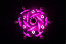 blob.png
