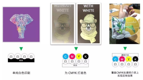 1d9c54f837ae99a9a3962bf4ff3206bd