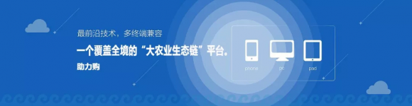 助力购究竟是什么？惊天内幕大曝光！