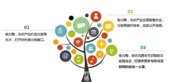 助力购究竟是什么？惊天内幕大曝光！