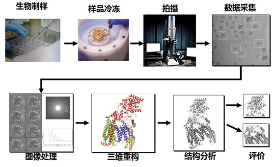 https://mmbiz.qpic.cn/mmbiz_png/XwX5ic0vRfUIiaueFR32lAaESjyGjastryBywkib5YicJ1wCXH6JCOtVA7xLMLIcQJicFsWTicHvvDHu7bVC6JiaPy8Cw/640?tp=webp&wxfrom=5&wx_lazy=1&wx_co=1