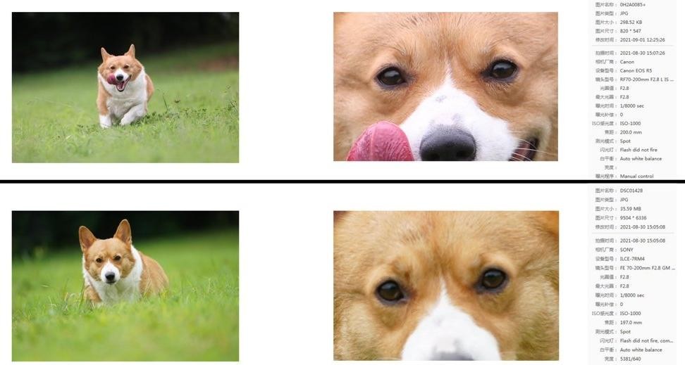 \