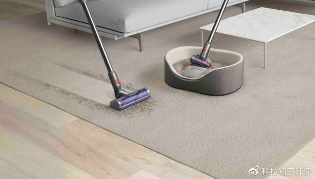深度清洁的最优解？不妨看看戴森打造的宠物科学“家”