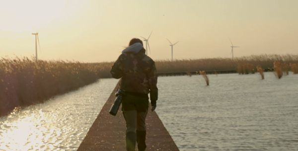 世界湿地日:海康威视携手一个地球自然基金会,在上海守护这个重要“驿站” 世界湿地日:海康威视携手一个地球自然基金会,在上海守护这个重要“驿站”