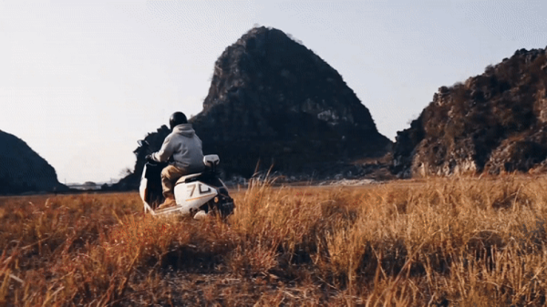 图片27.png 图片27.png