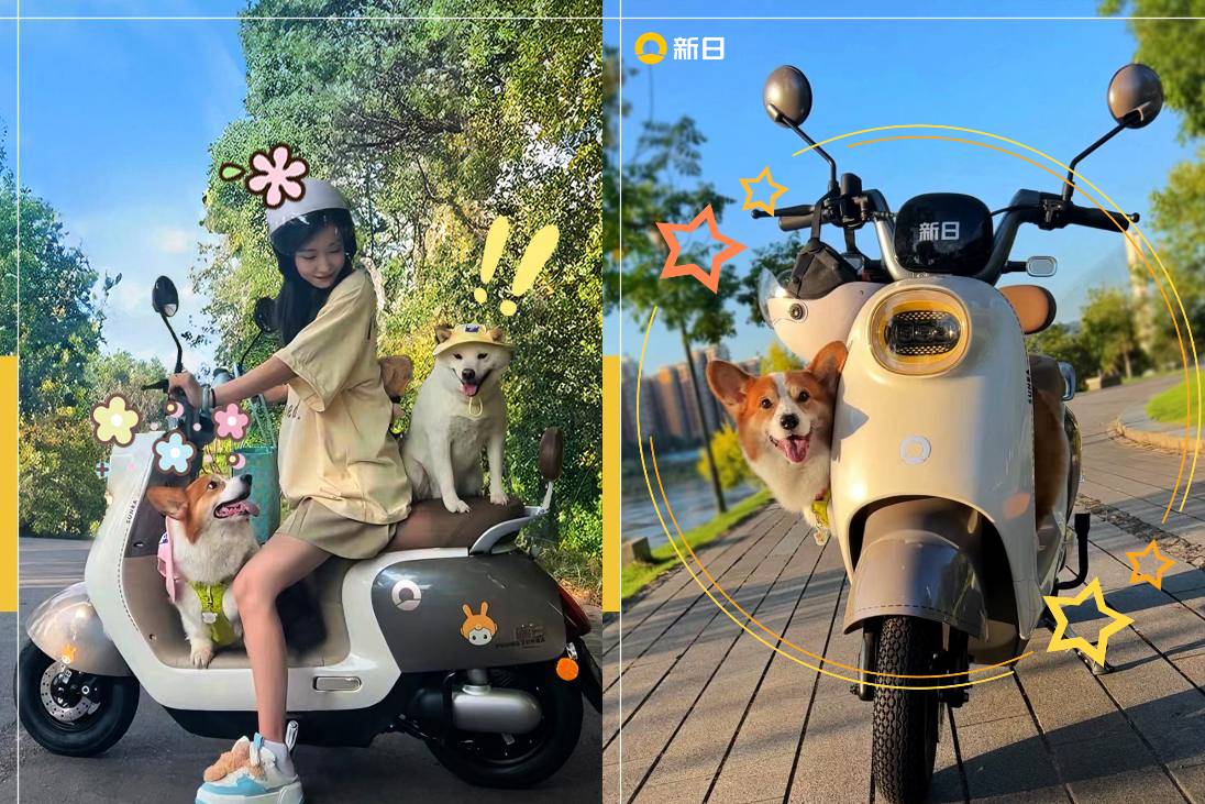 medias-uploads/ty-202308/7300cb1566c7499bad21329384d05939.jpg 下载.jpg