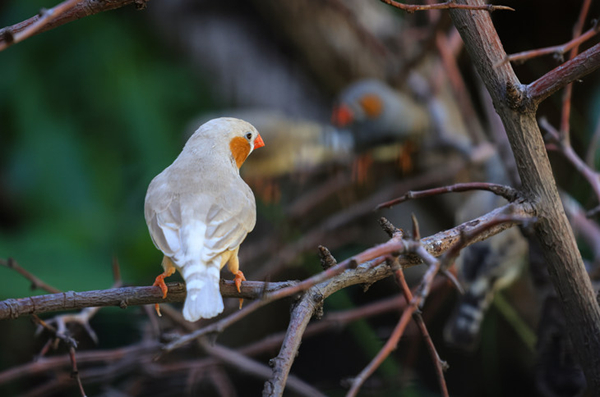 1711442611208754.png 图片10.png