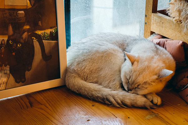 1711442698314160.png 图片20.png