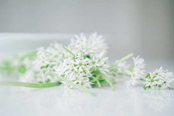 1711442754122363.png 图片24.png