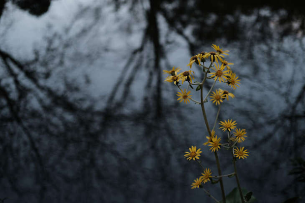 1711442788305891.png 图片28.png