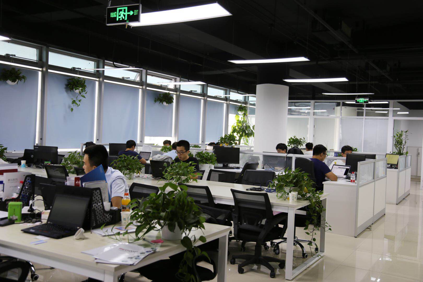 cio时代app记者实拍红象云腾办公环境