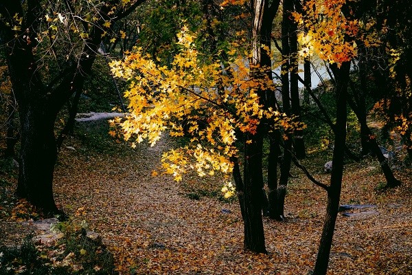 1731914588124582.jpg 图片6.jpg