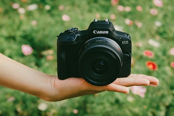 1731914564256974.jpg 图片2.jpg